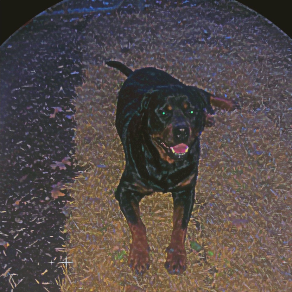 Meet your Posher, Angel